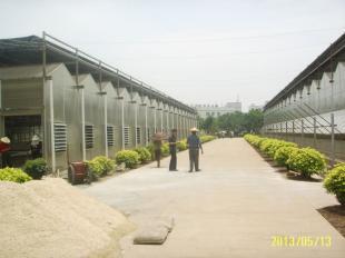 福州陽(yáng)光板溫室|廈門(mén)黑土農(nóng)業(yè)科技_農(nóng)副產(chǎn)品_世界工廠(chǎng)網(wǎng)